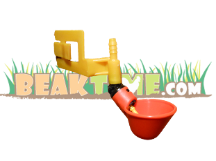 chicken drinking automatic cup
