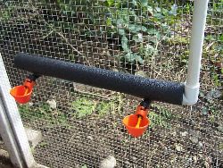 Chicken Waterer Store Home Page Chicken Nipple Chicken Water