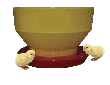 large baby Chick Feeder