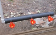 chicken nipple waterer cups
