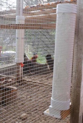 chicken feeder
